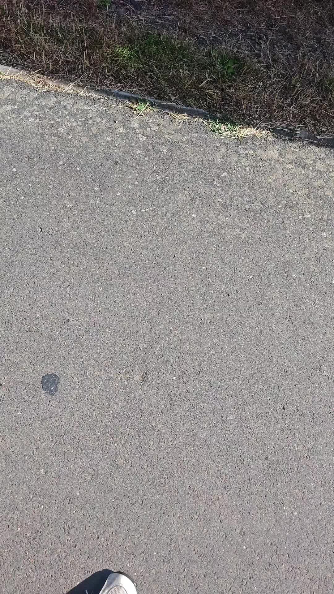 @😺🚛🄶🄰🅁🄵🅈🚛😺