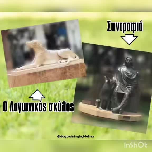 @dogtrainingbymelina