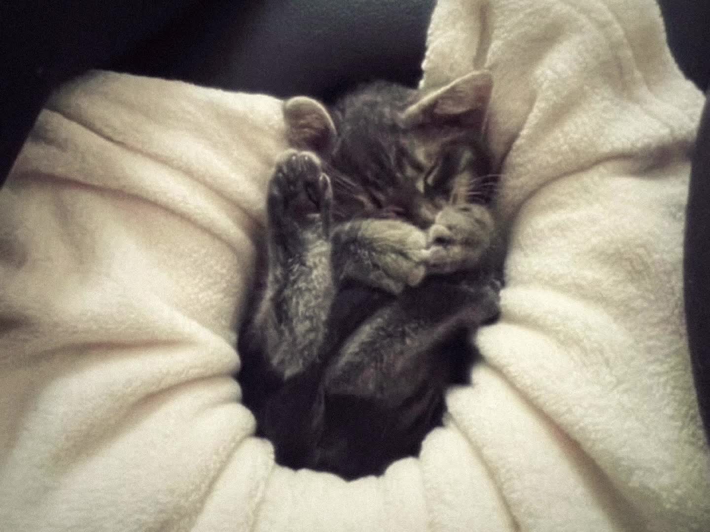 @anna💤