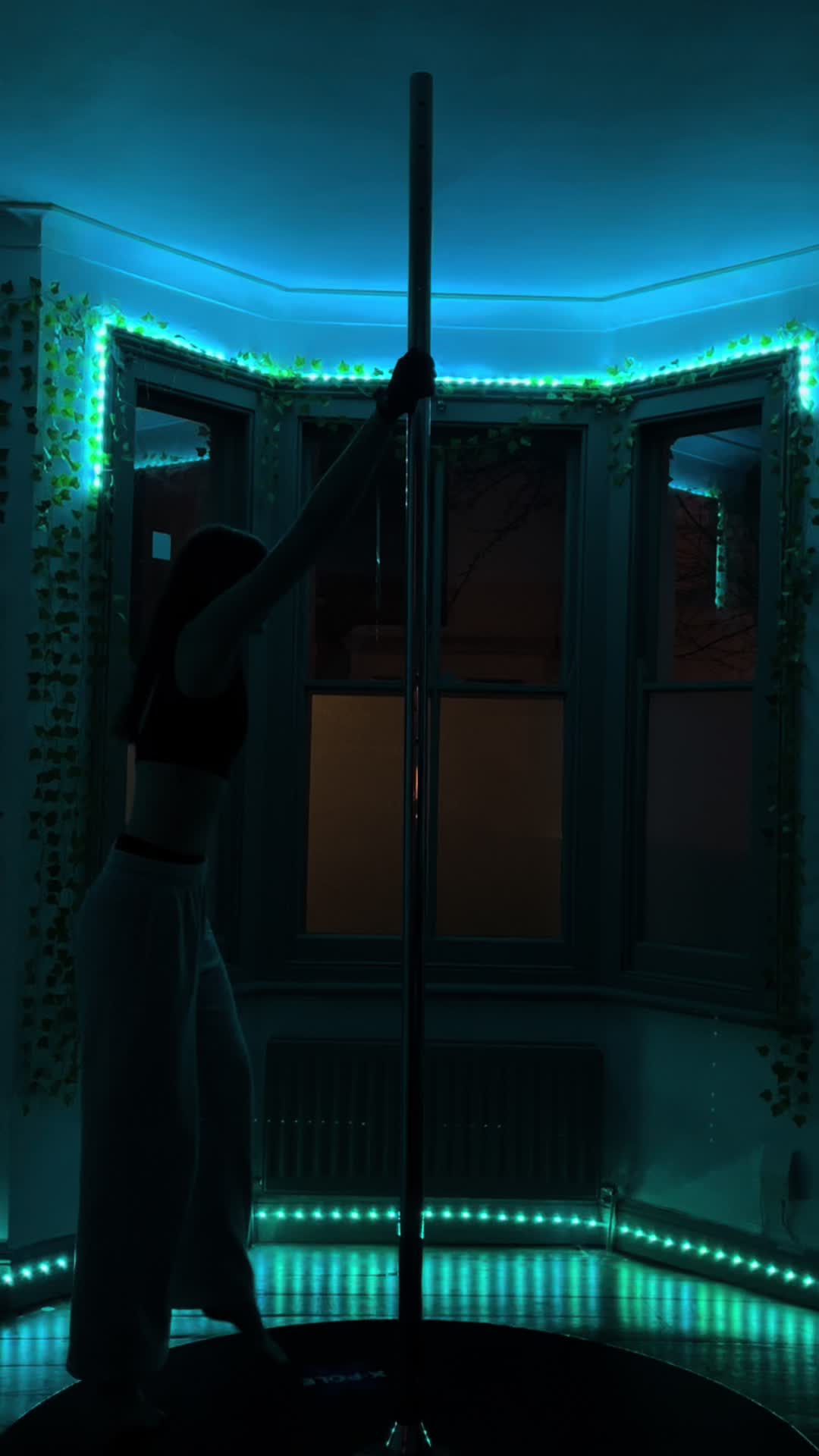@swiss pole dancer