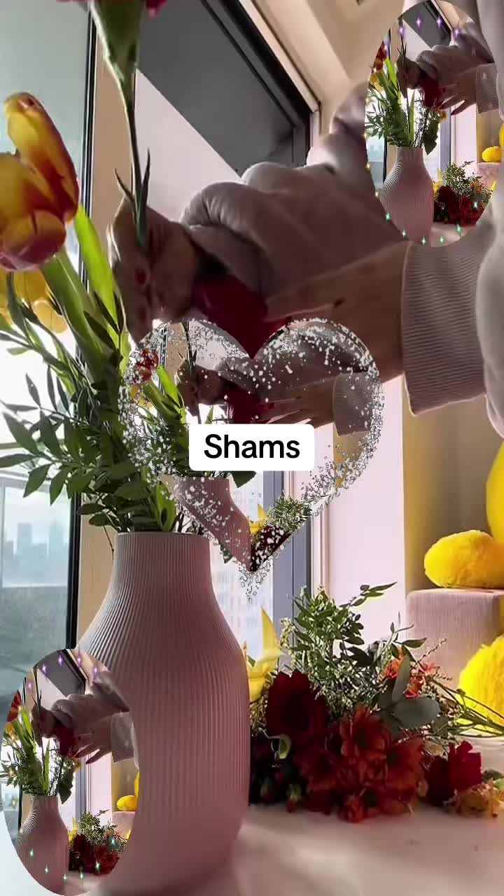 @Shams