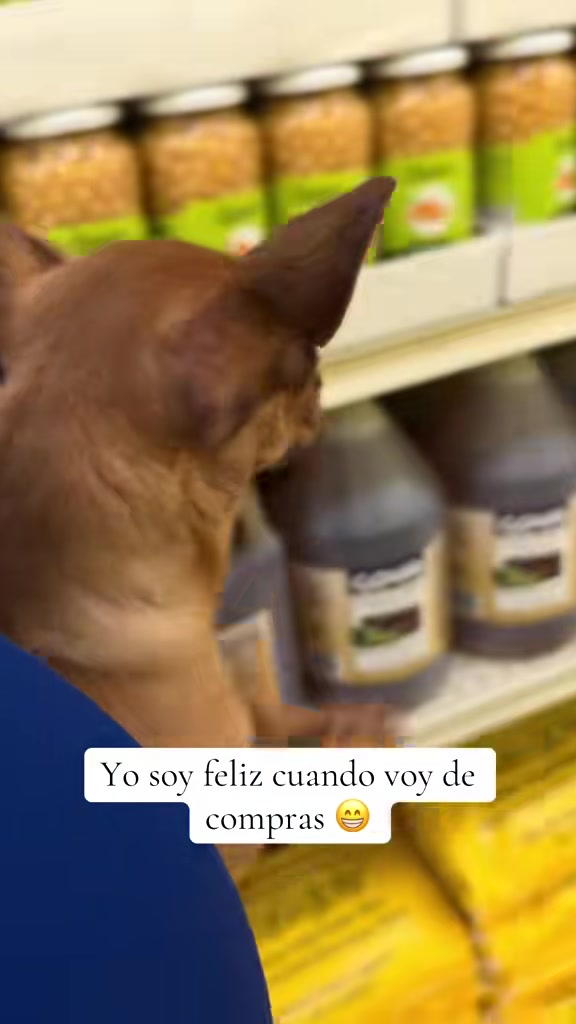 @Gloria Hernandez