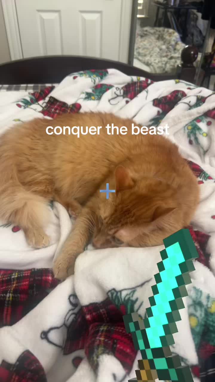 @lily_pears