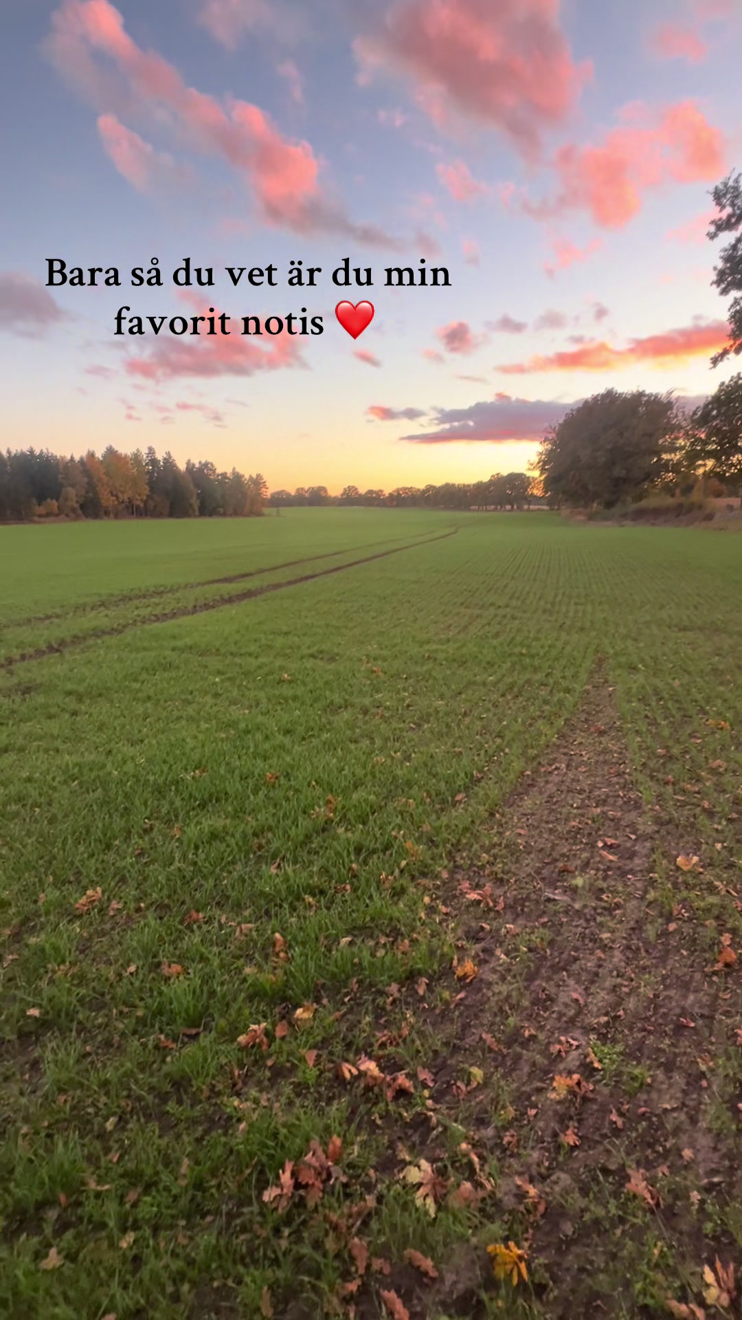 @Username27574