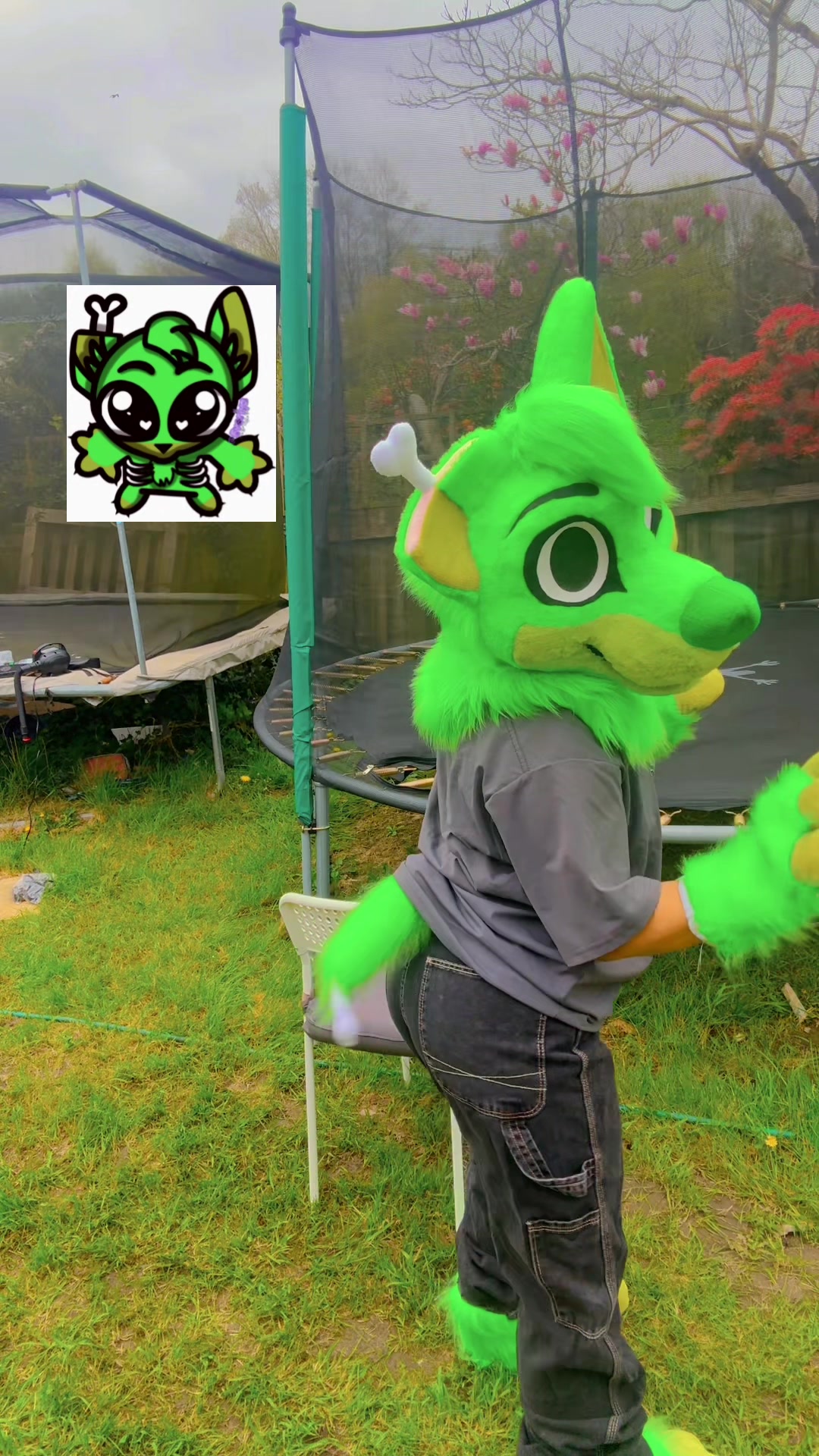 @★彡 ~ paws! ~ ★彡