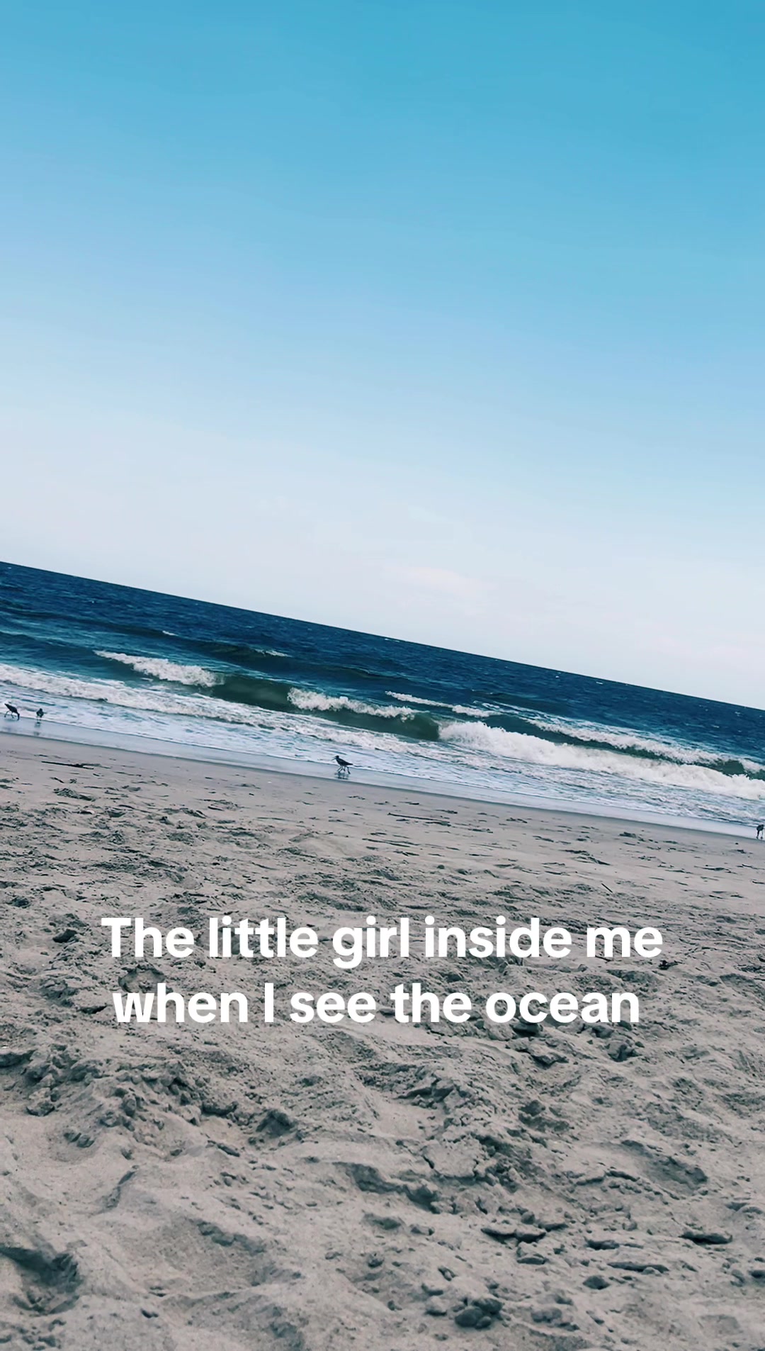 @𝓒𝓱𝓮𝓵𝓼𝓮𝔂🩵