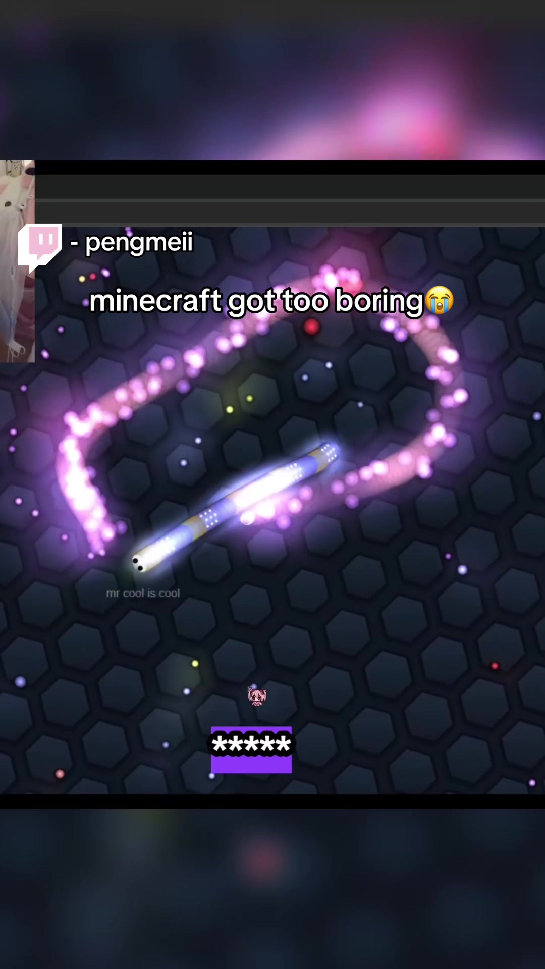 @pengmeii┃twitch