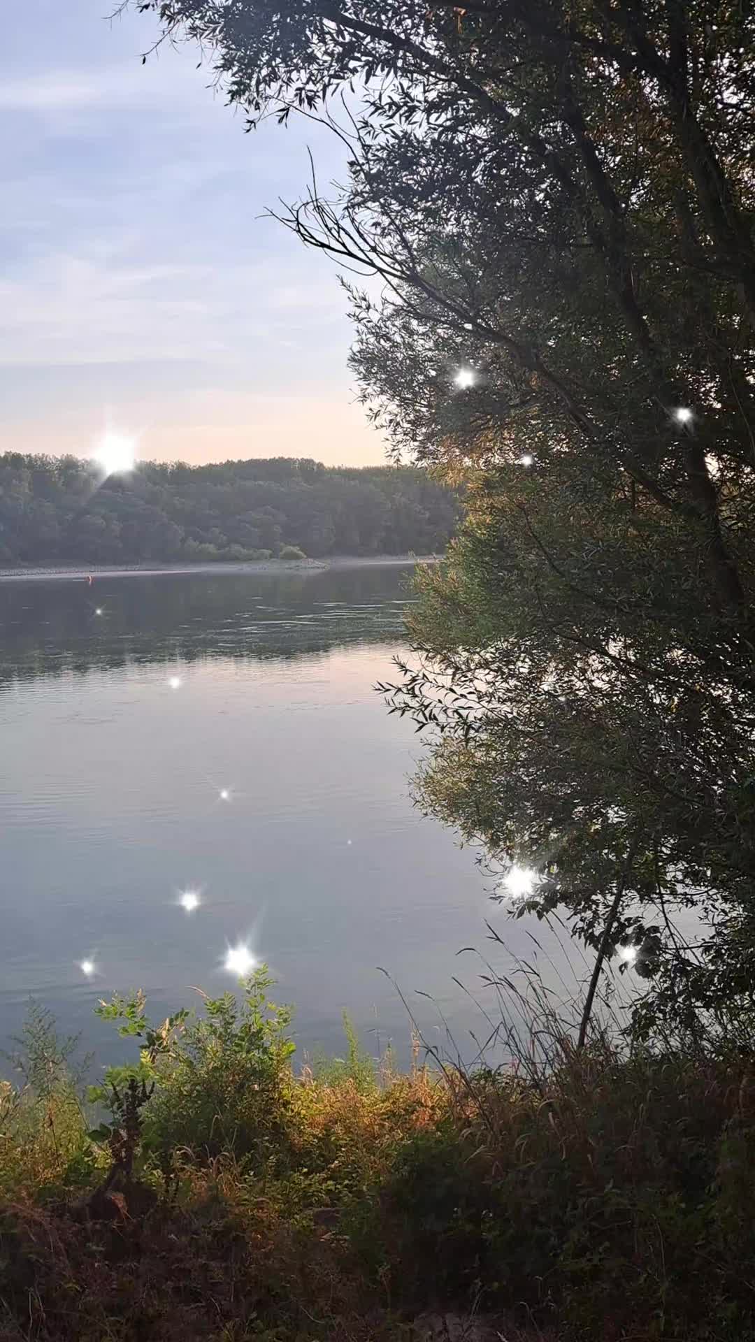 @👑Picis&aacute;rika👑