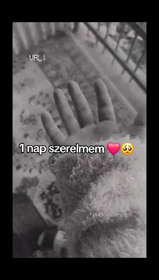 @nehri h&oacute;d&iacute;t&oacute; 🖤🇹🇩🇺🇦💎