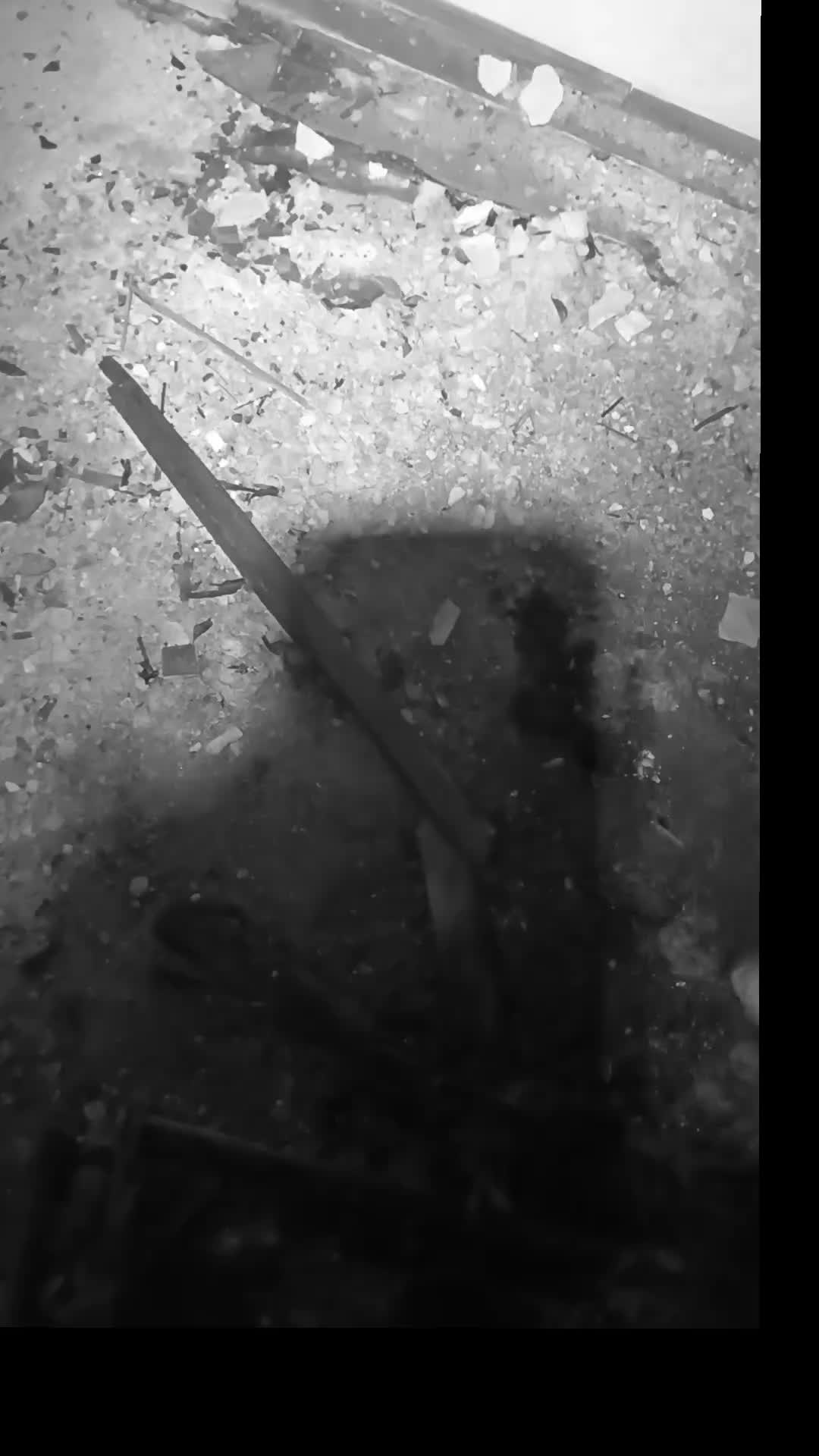 @Paranormal Activity IRL