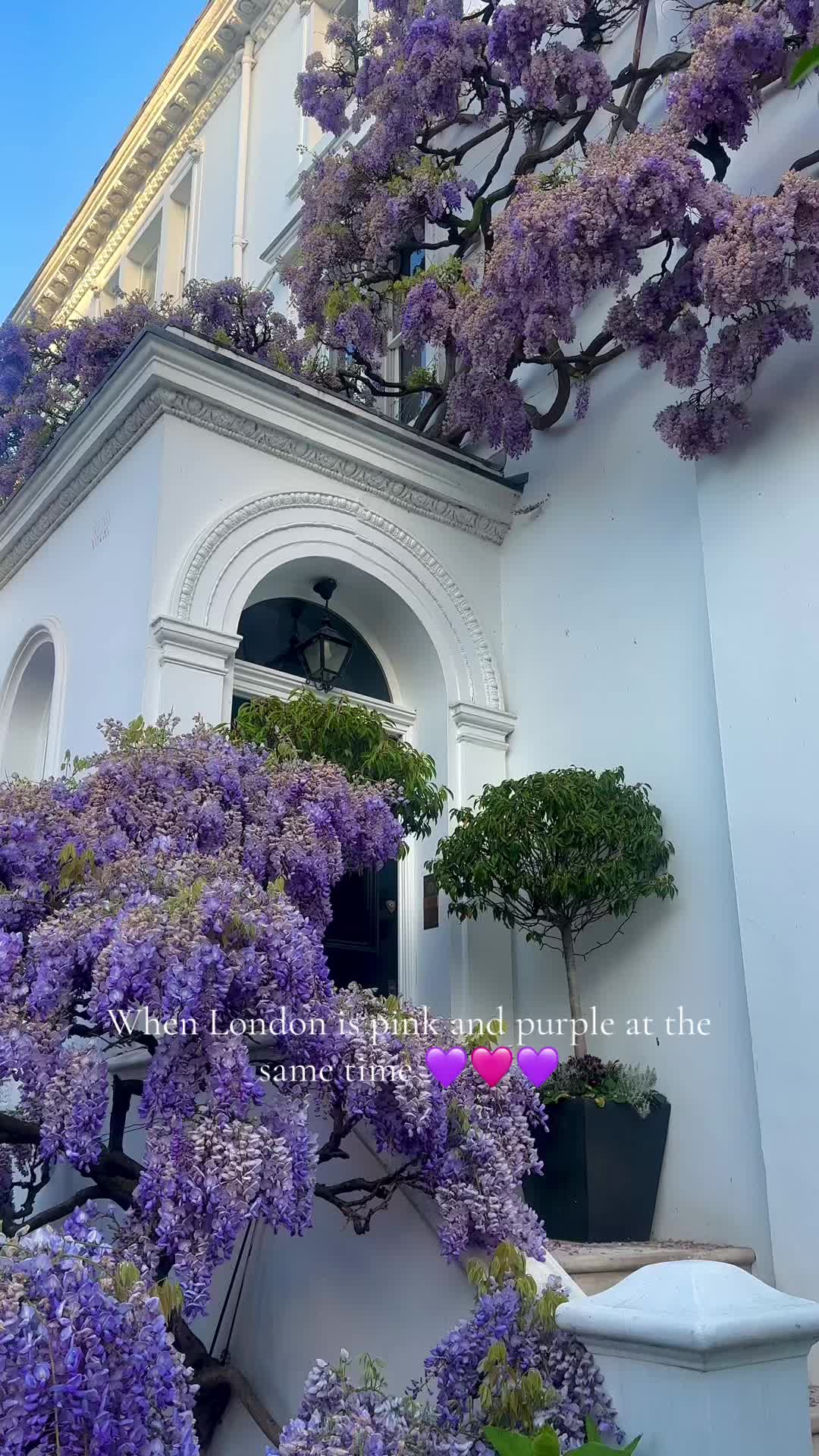 @gingerthattravels