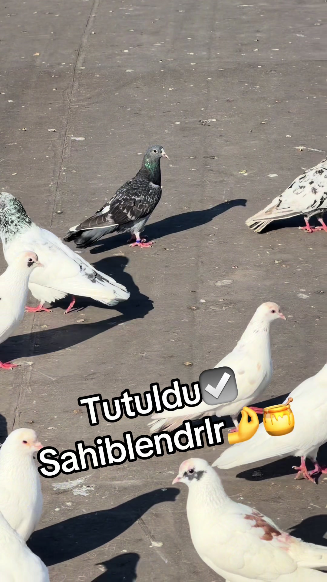 @XAM_BAZ🤘