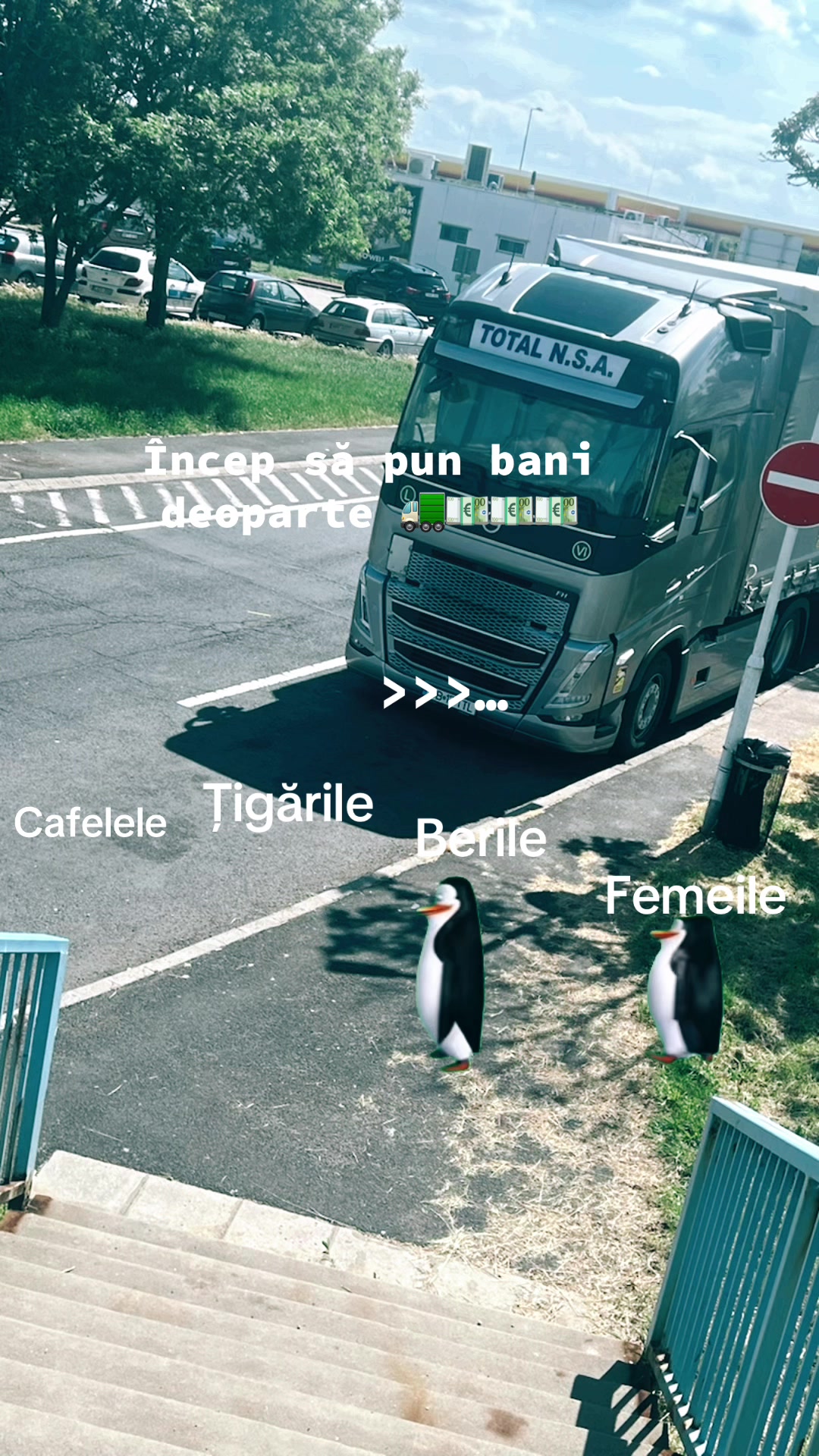 @Ilie Șerban