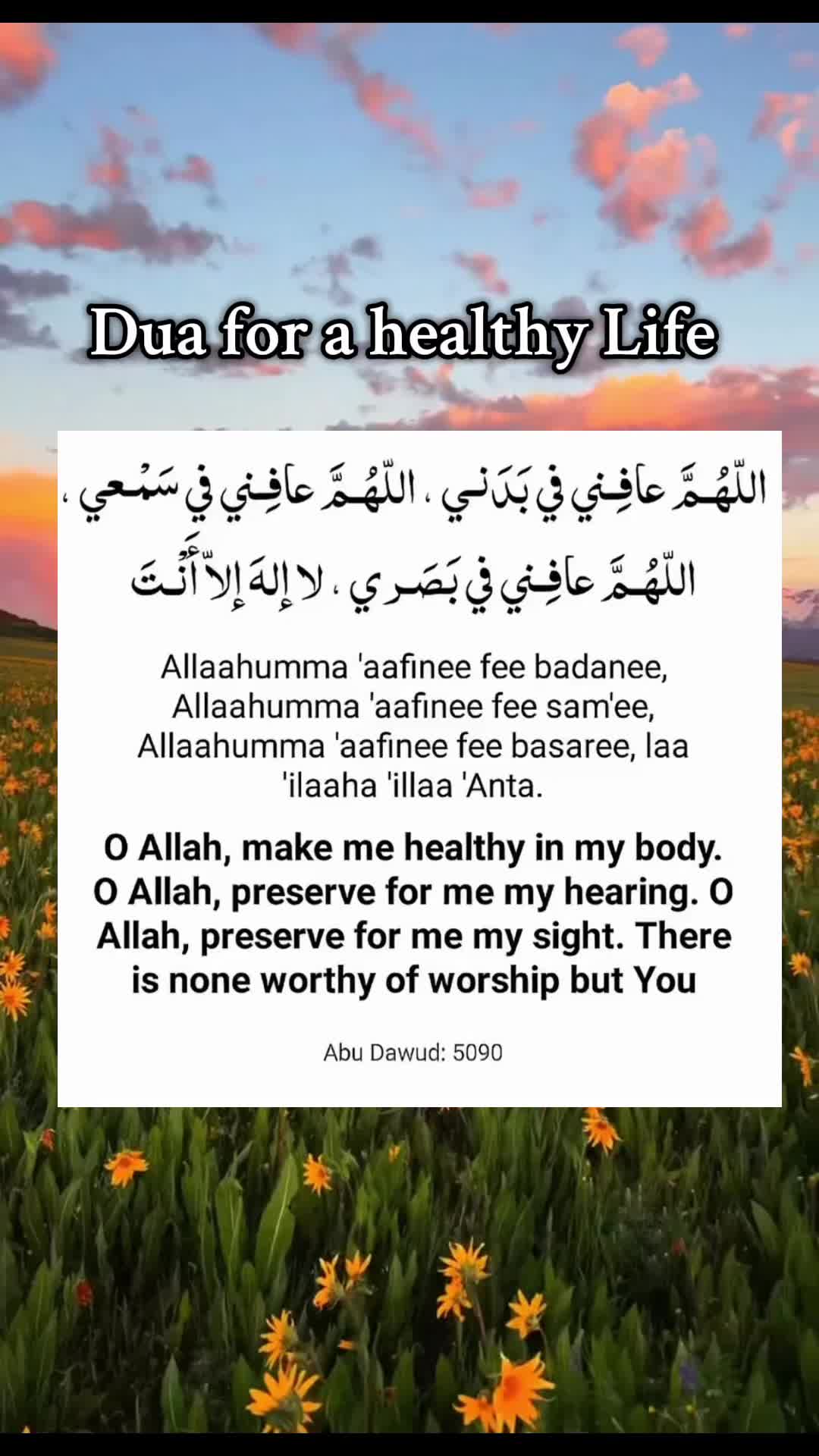 @Islam.Sunnah1