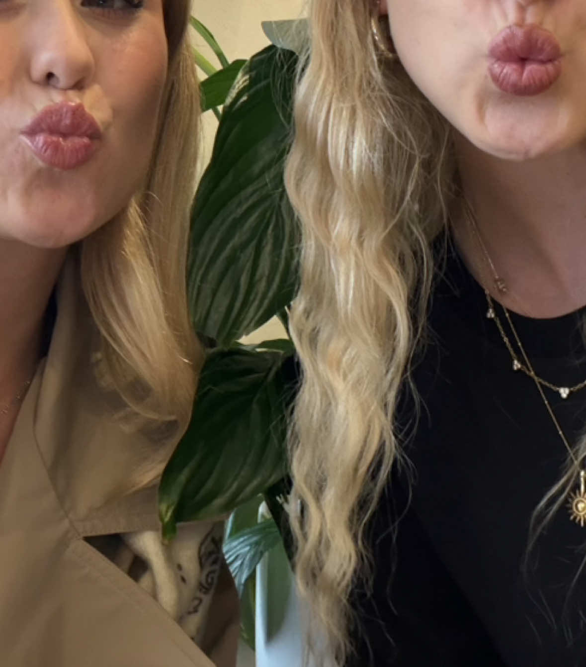 @lillyfranziii