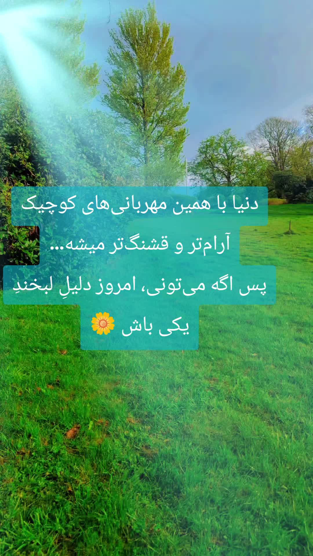 @🌷Mrs_tabs🌷