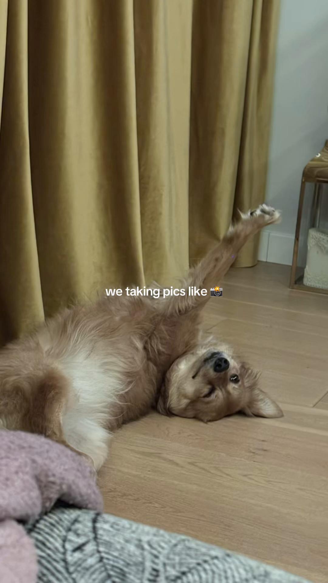 @hejmoniu