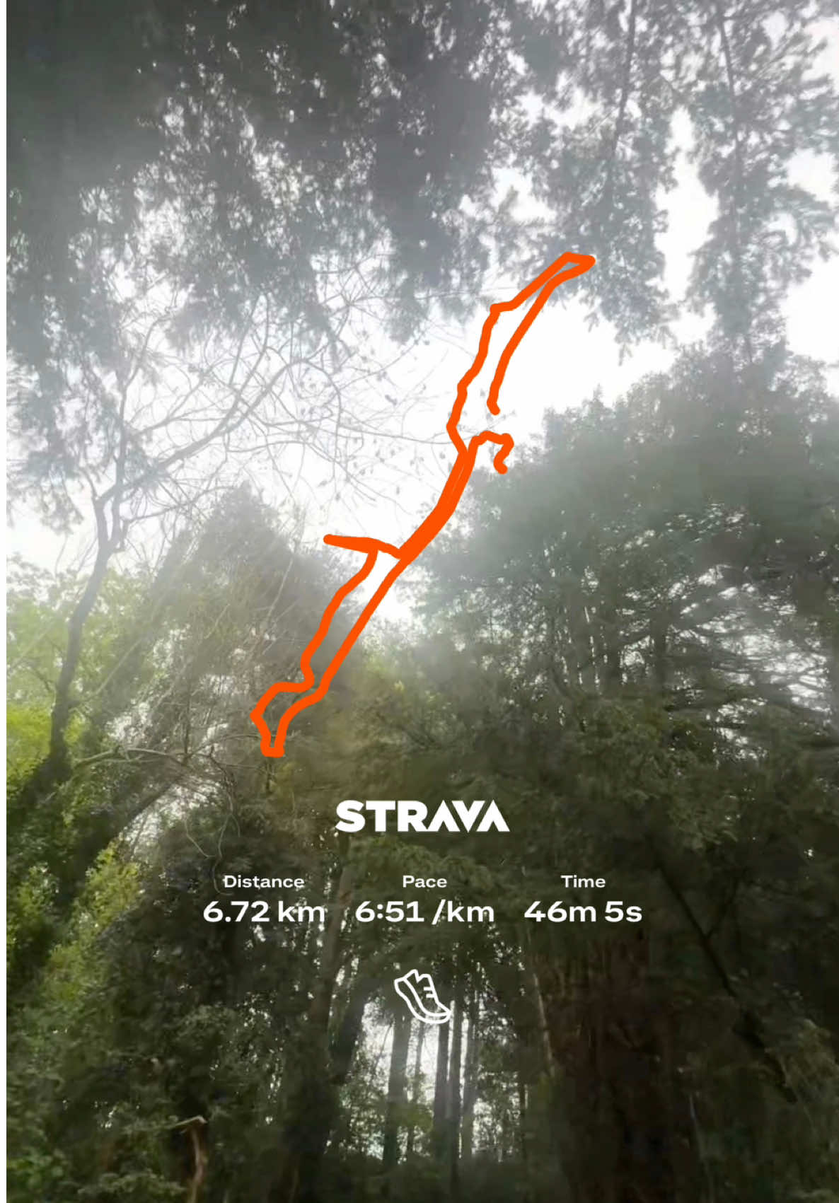 @lou.yogi.runner