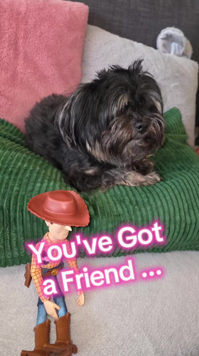 @Dobby&Phoebe