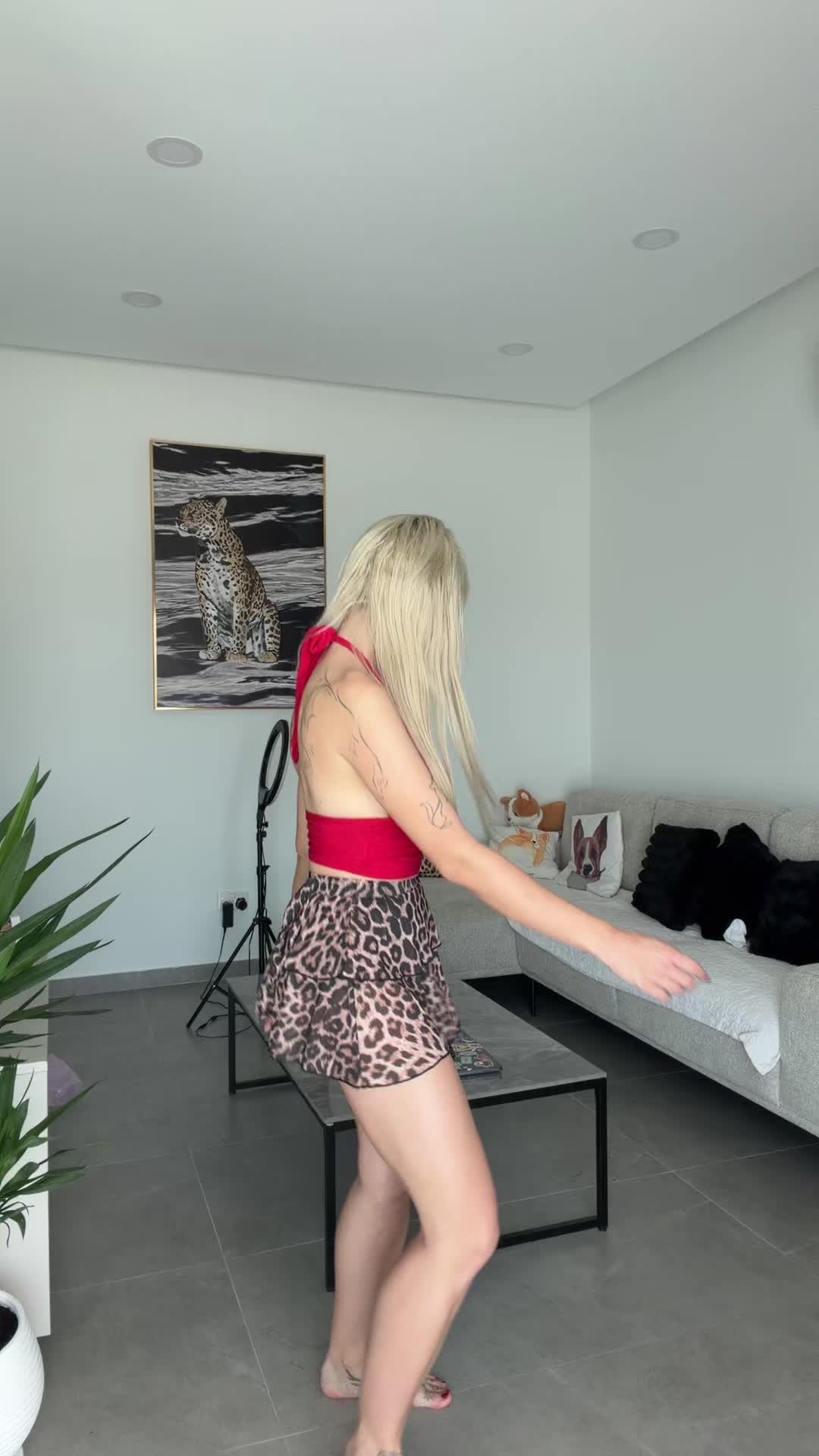 @collieesi
