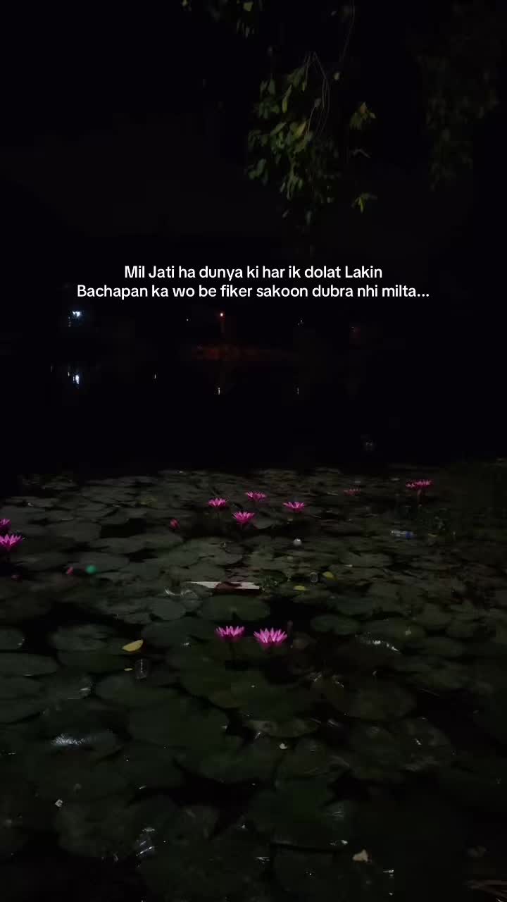 @𝙃𝘼𝙄𝘿𝙀𝙍 🐻&zwj;❄️