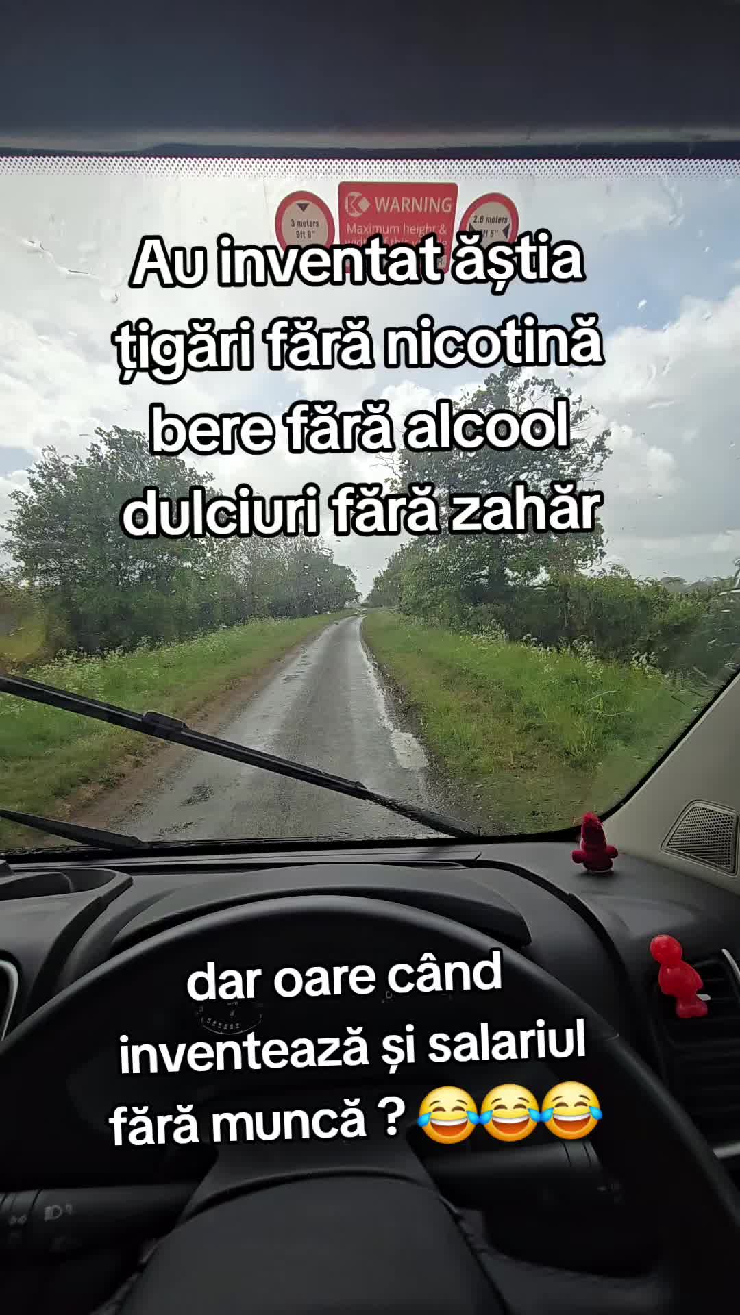 @Diana-Loredana