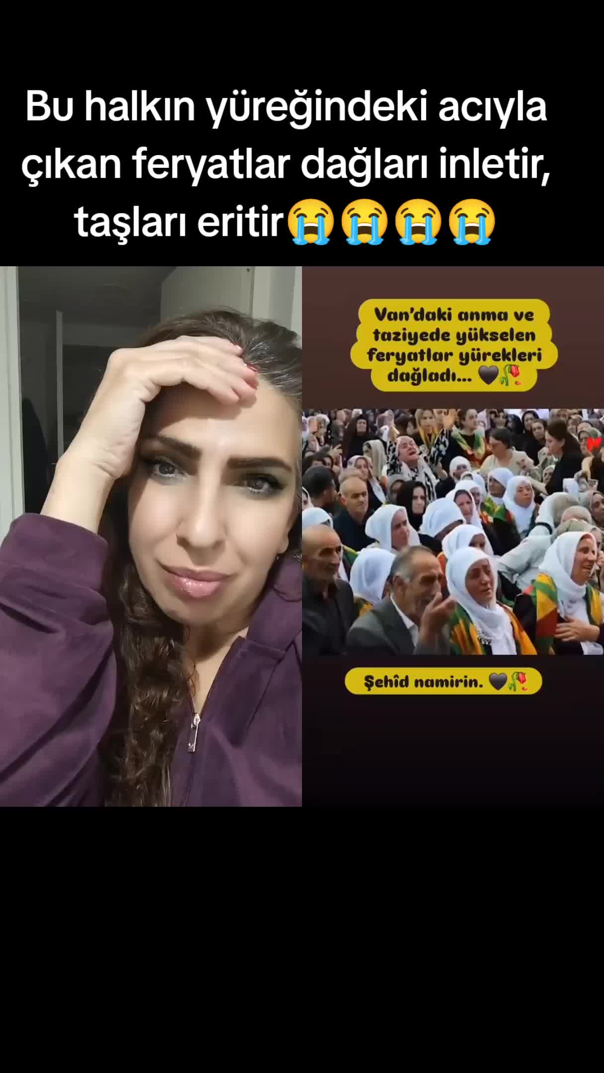 @Gayet Menteşe