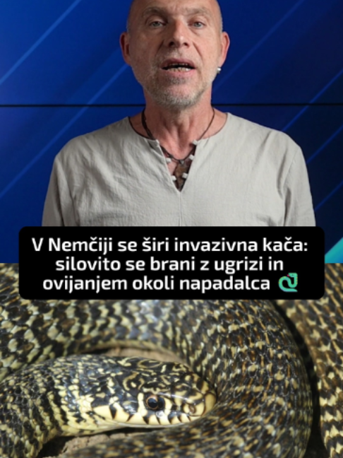 @N1 Slovenija
