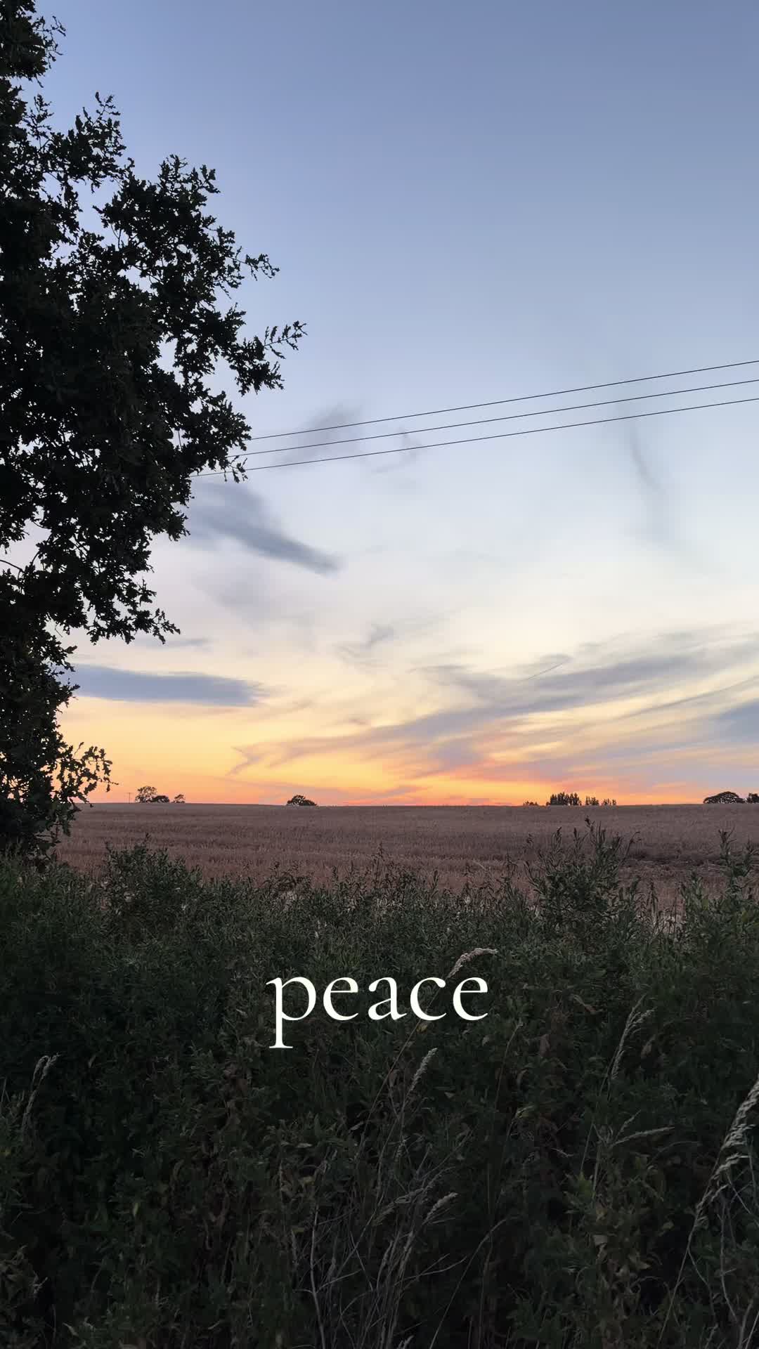 @peaceful place