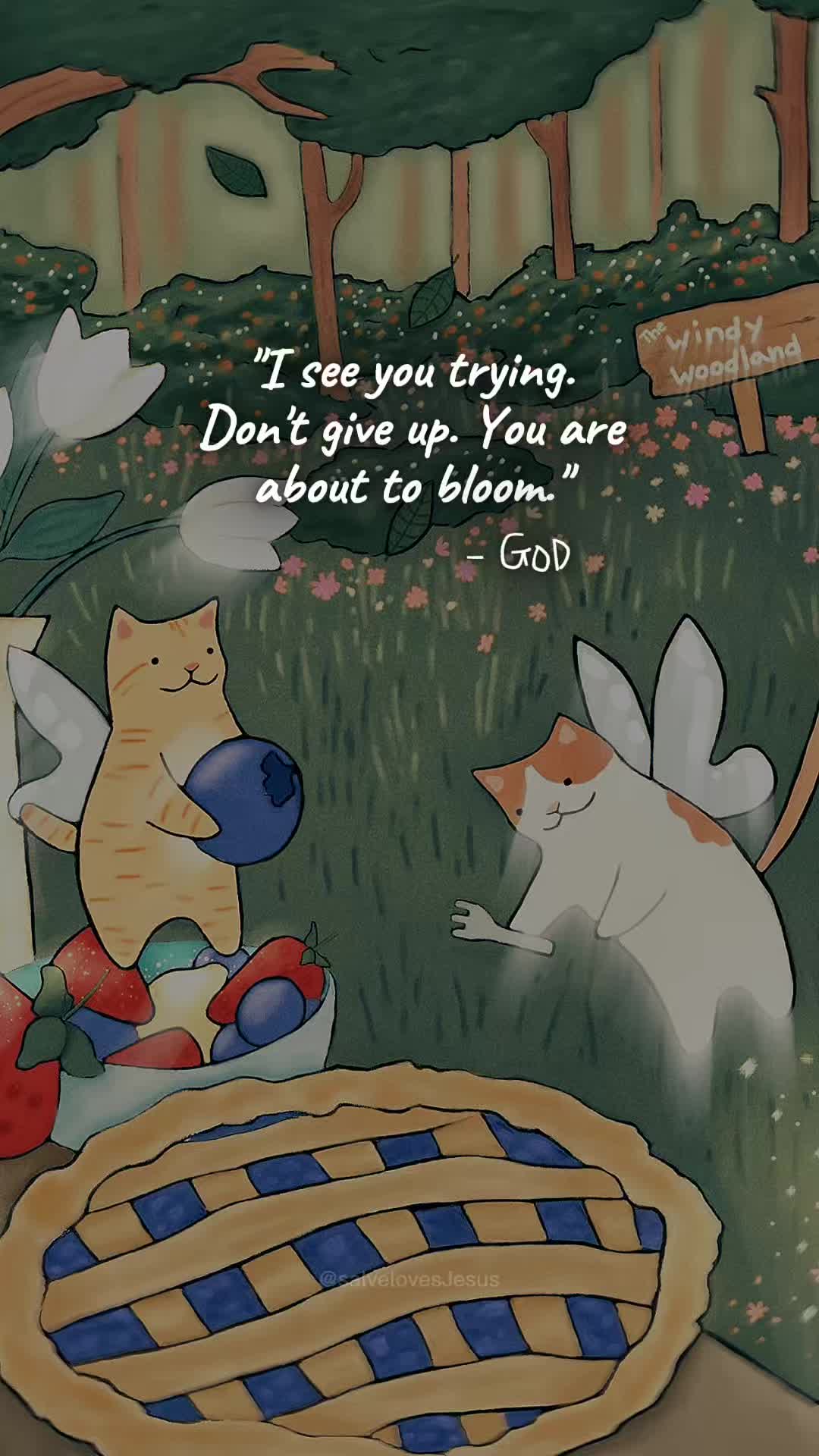 @user68113535878