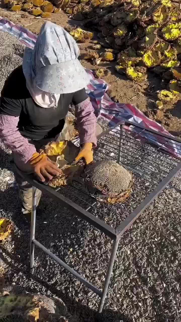 @kdyxjgi..__364