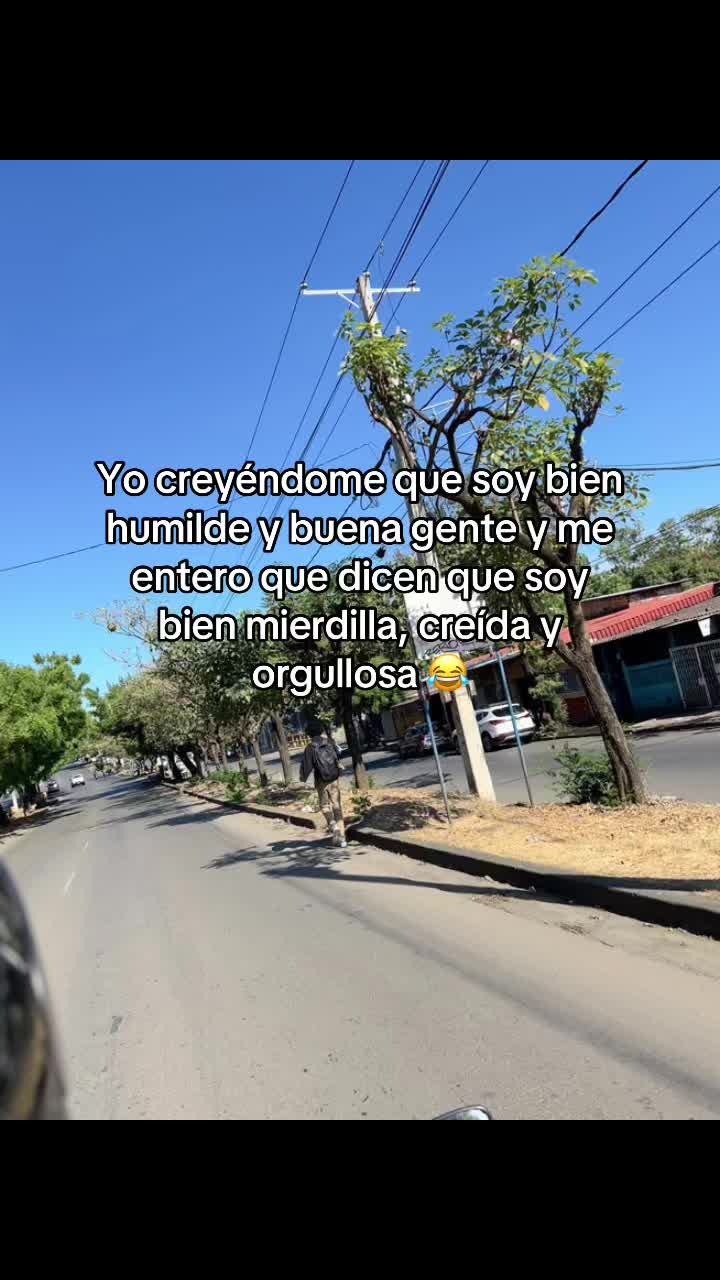 @🦍 🐺
