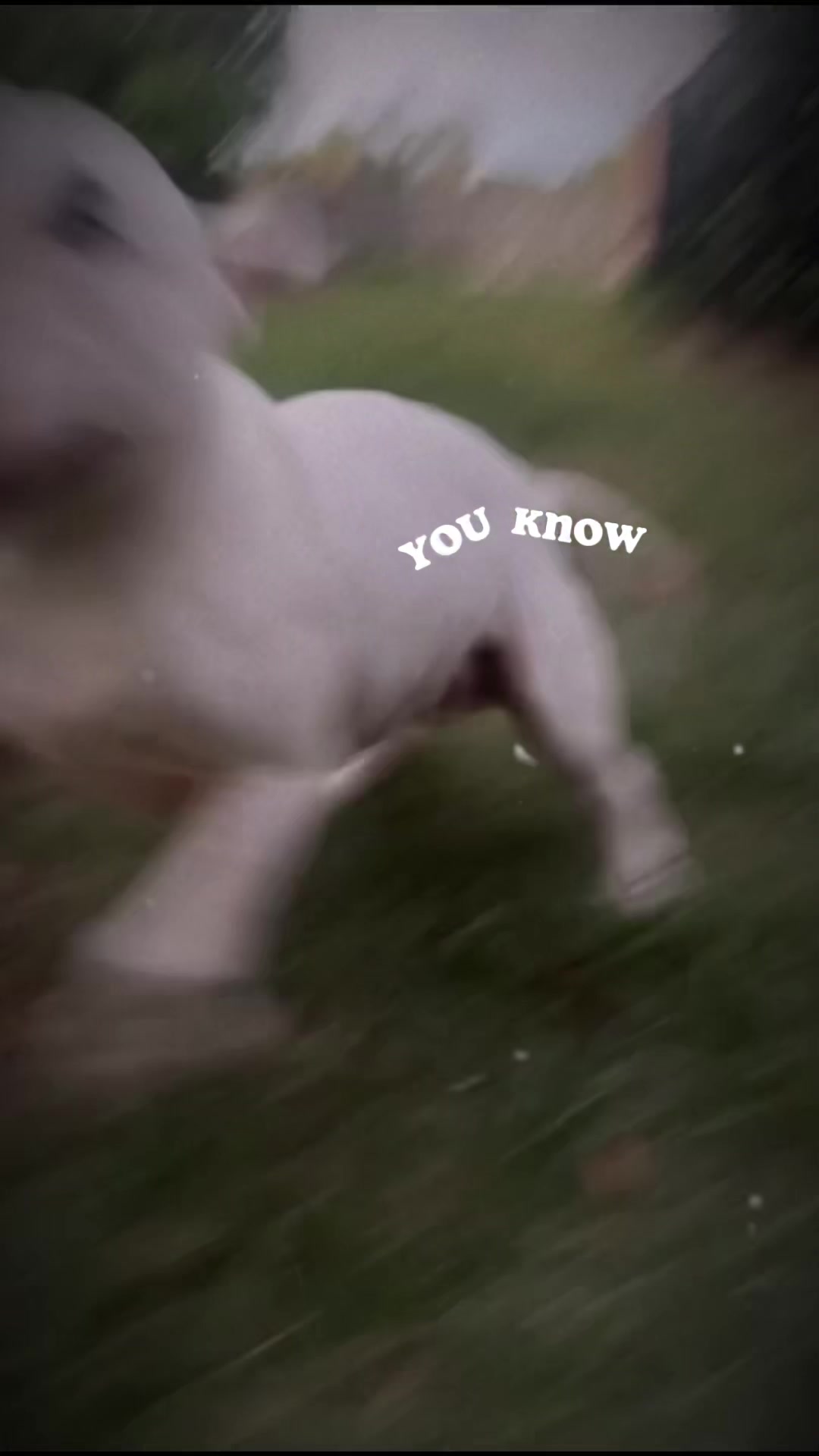 @Ally Jade