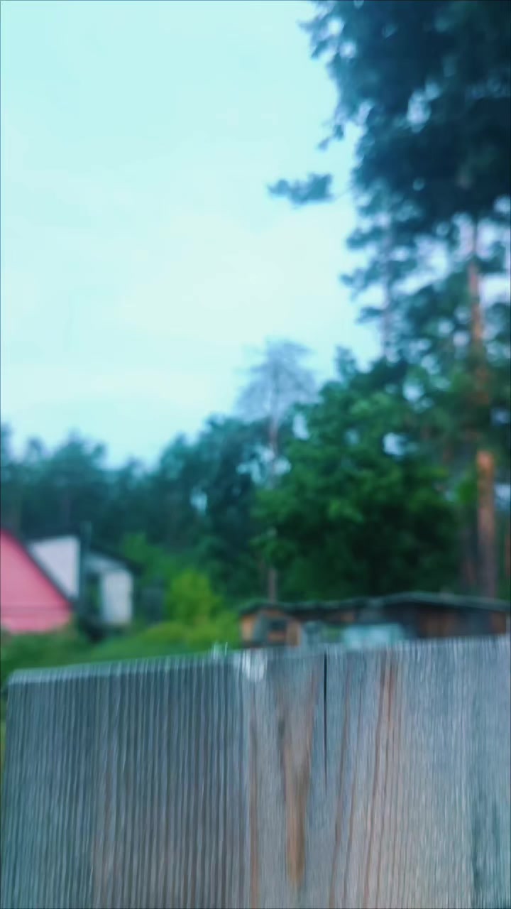 @Forte vod🔥