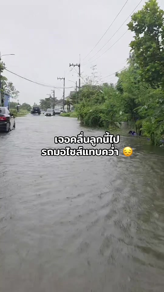 @adminphung