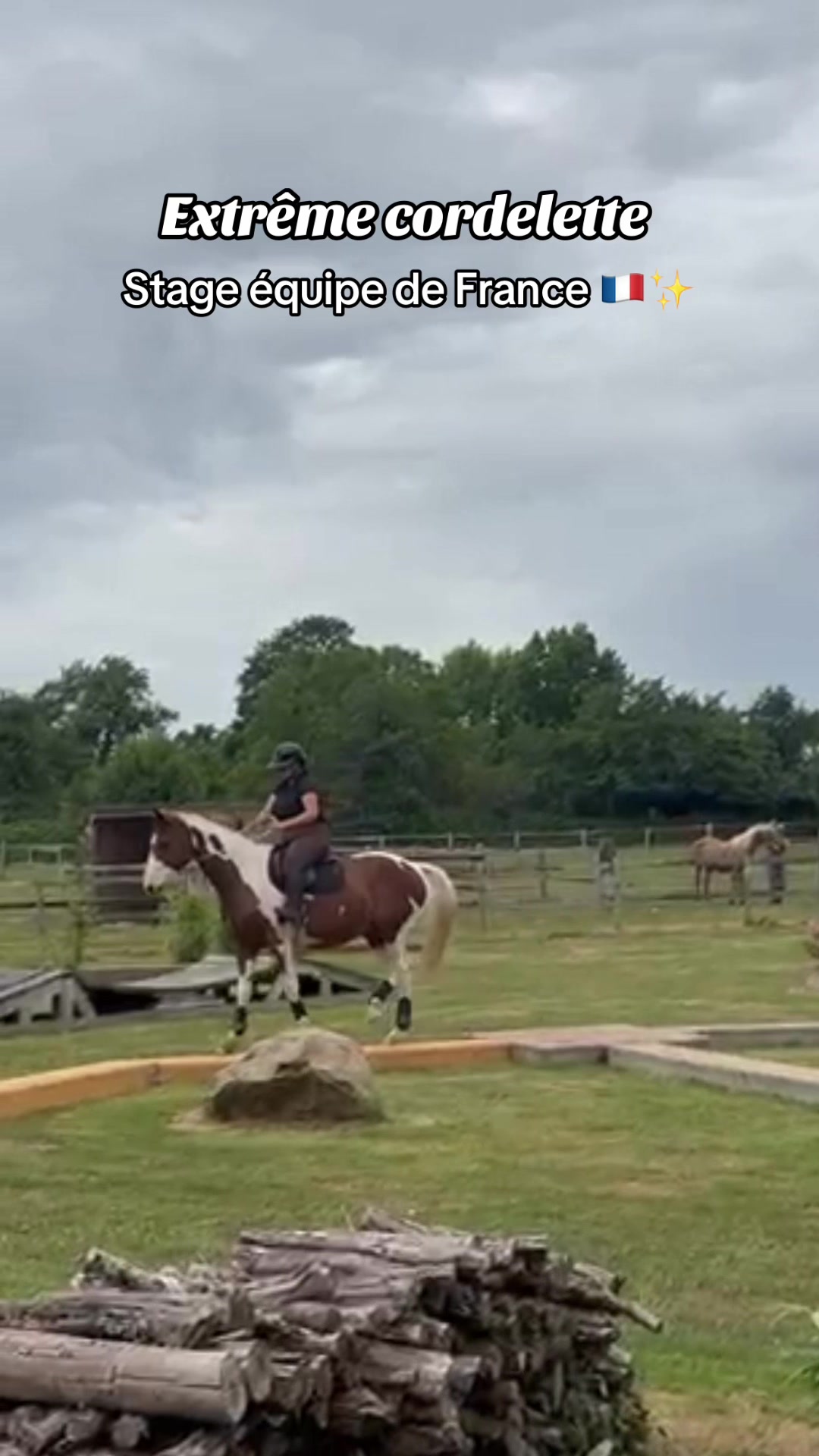 @Cavalière de Grand Pré 🎠