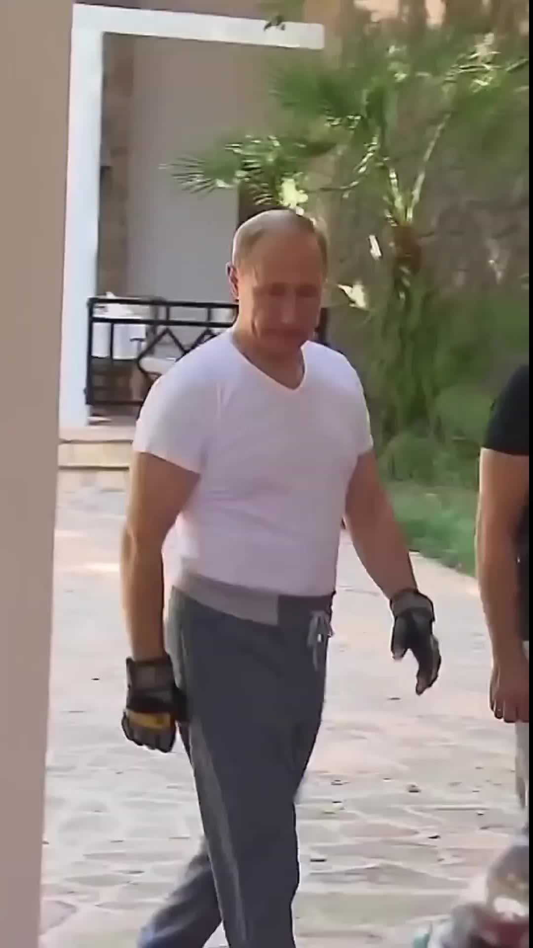 @𝐂𝐑𝐄𝐌𝐀𝐓𝐎𝐗