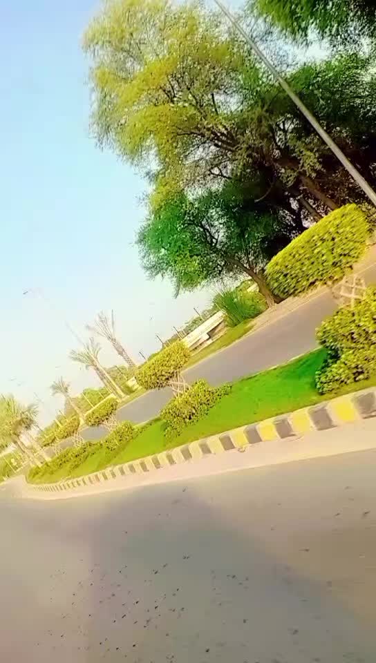 @⚘️ بجلی ☘️