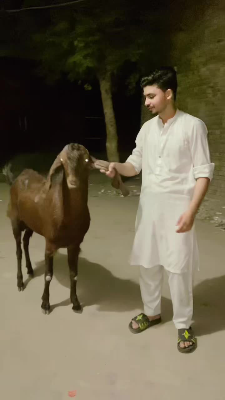 @aqib.malik_