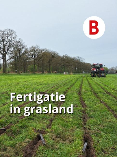 @Boerderij