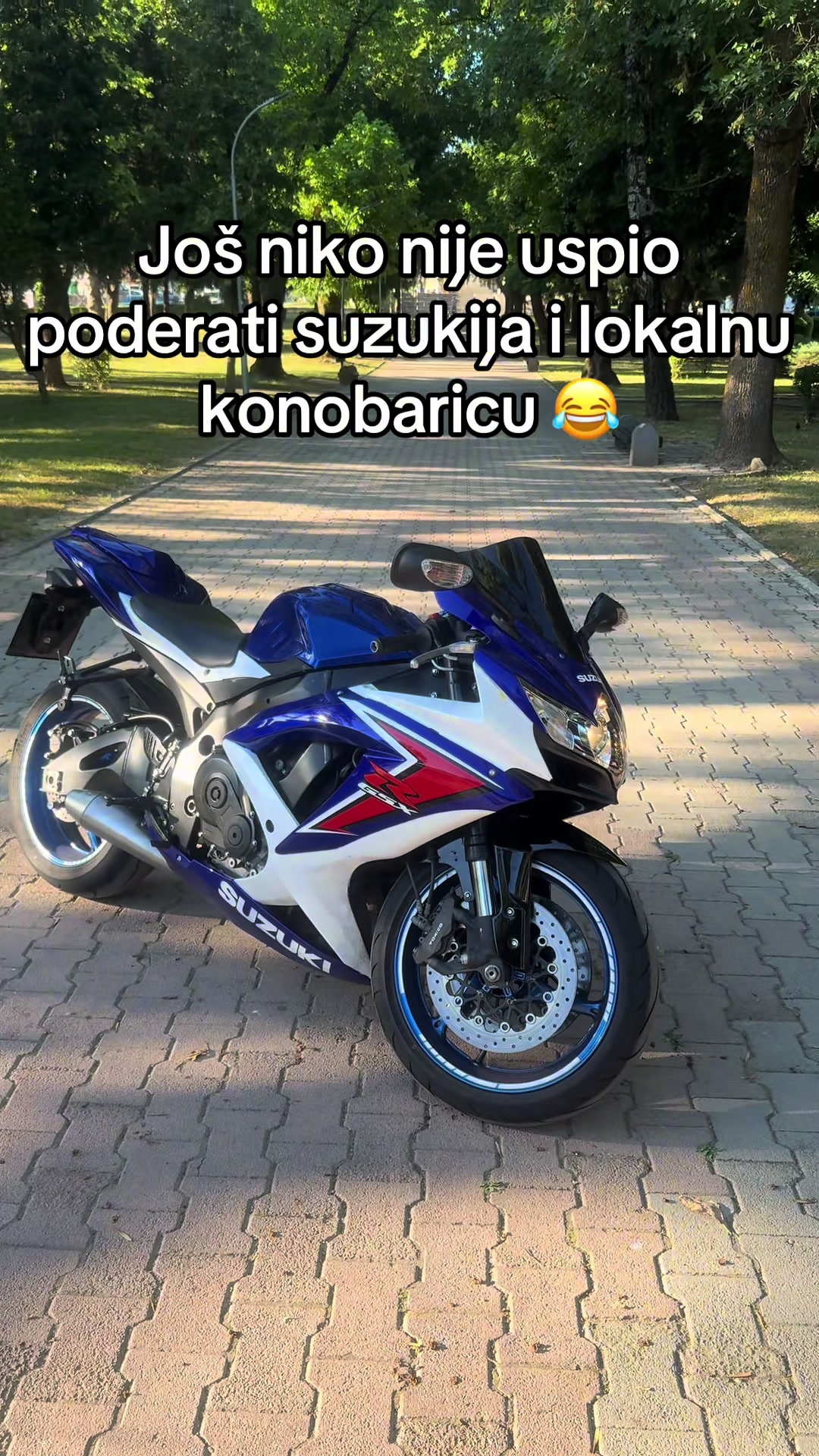 @Young Rider