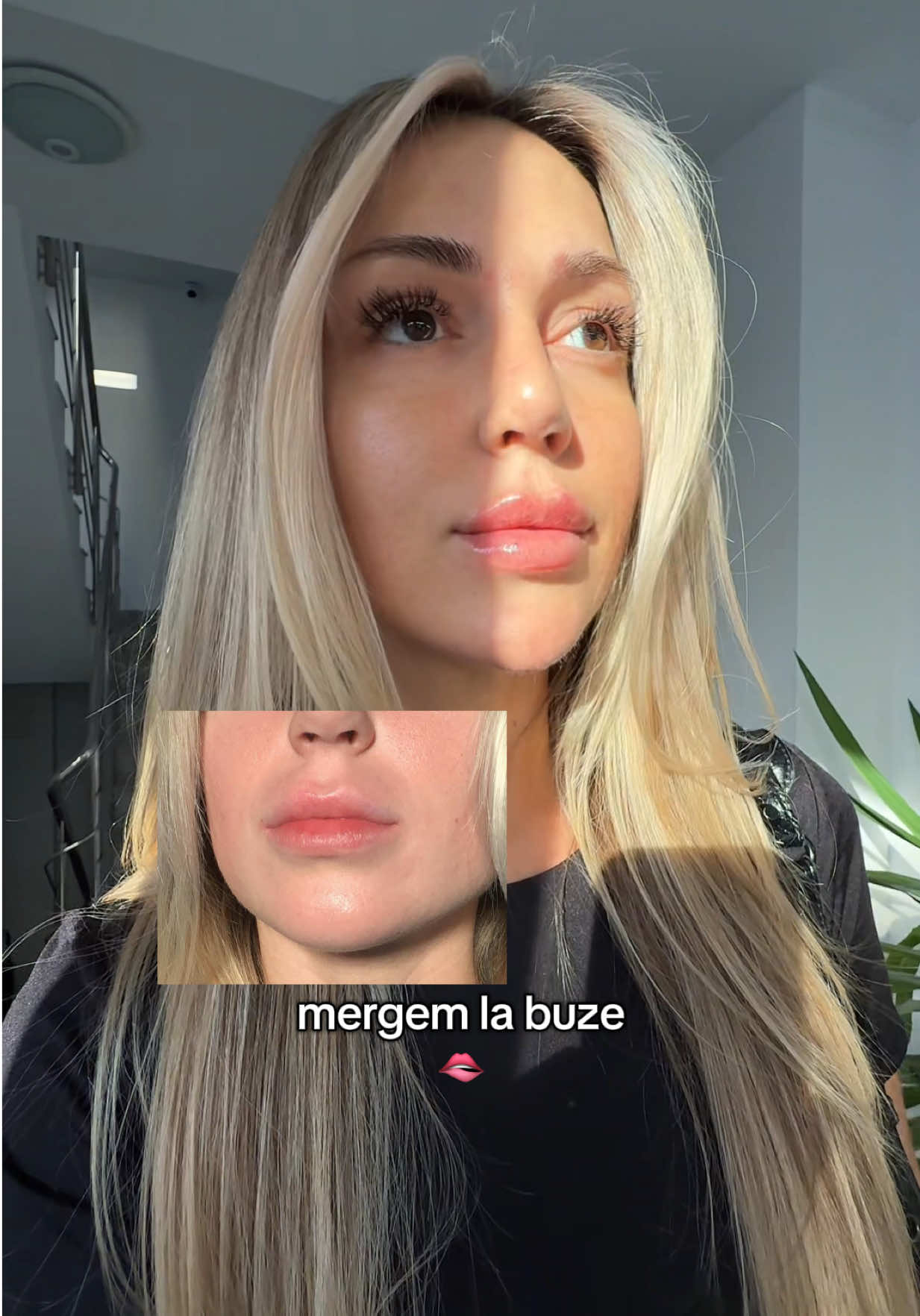 @Cristina Vereș