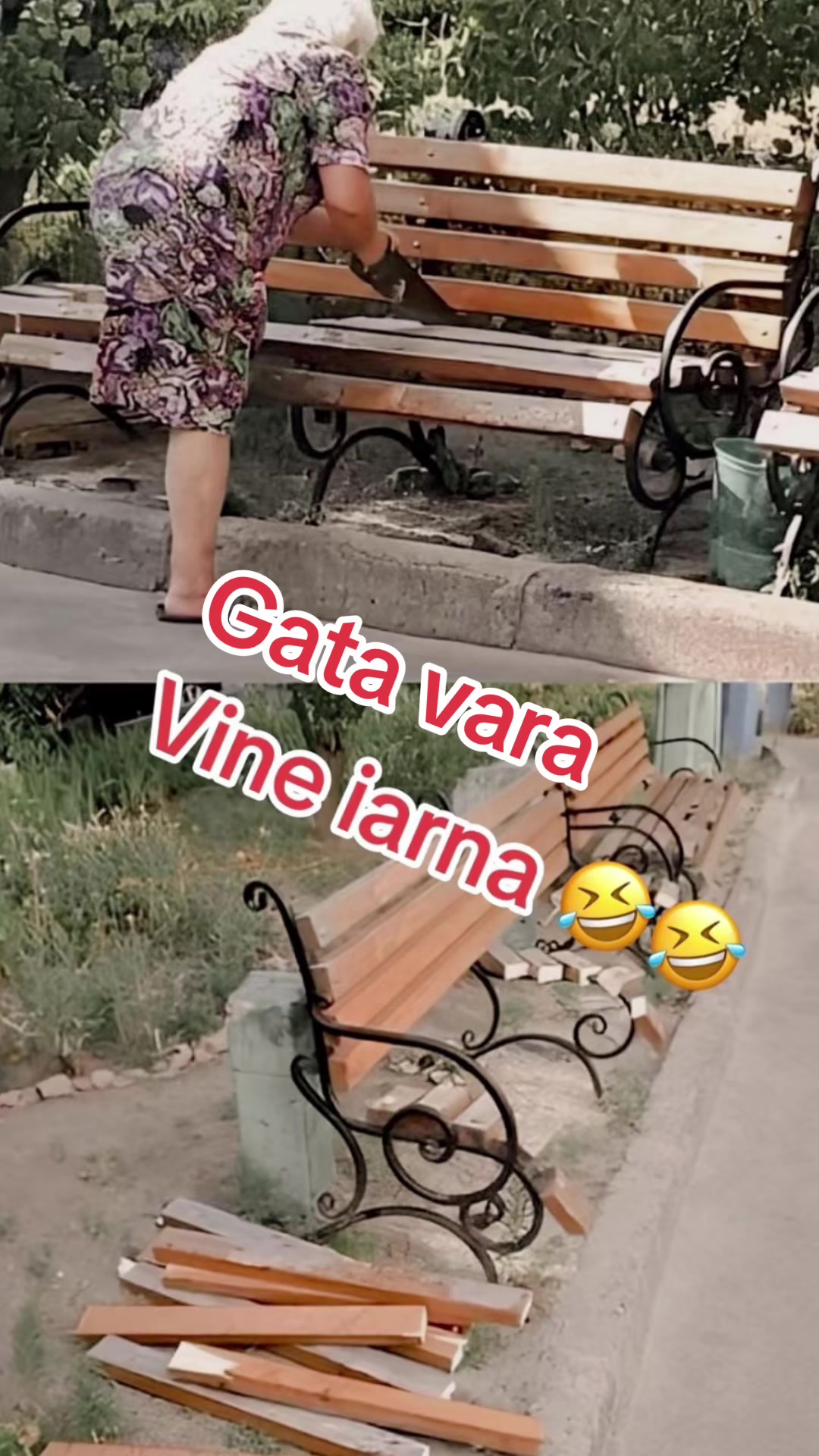 @@🗣️Narcis🚫🎭