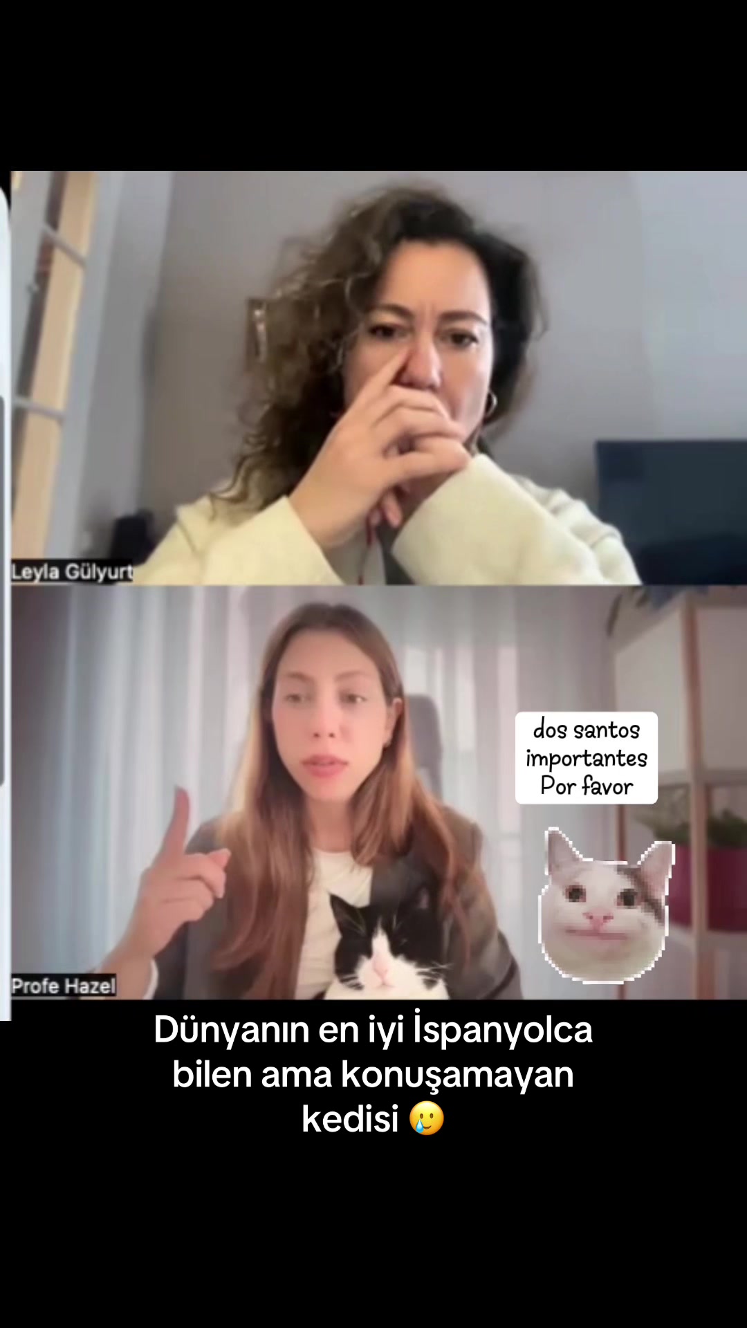 @Profe Hazel | 🇪🇸 Öğretmeni