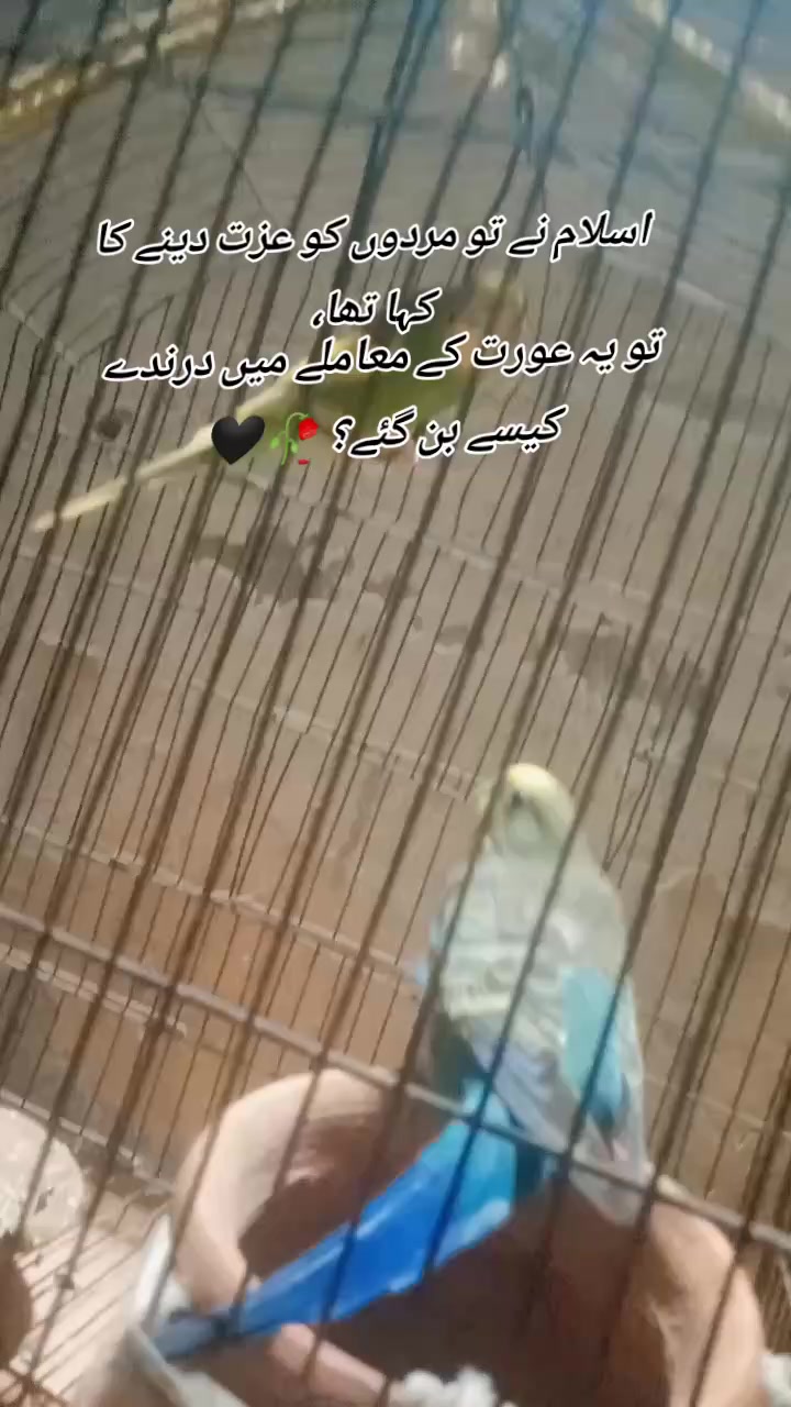 @م❤️🩹