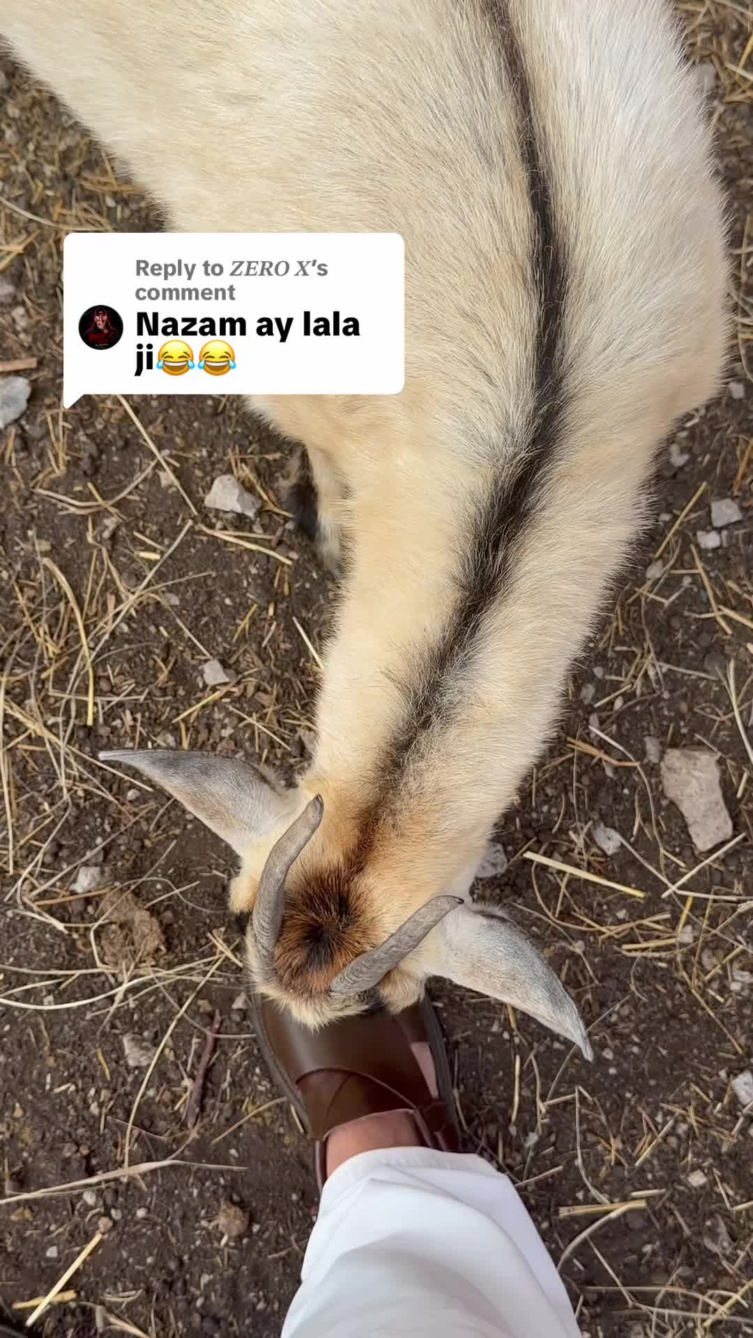 @PAGAL