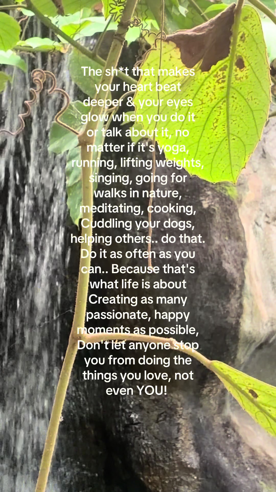 @forest.moon.wellbeing