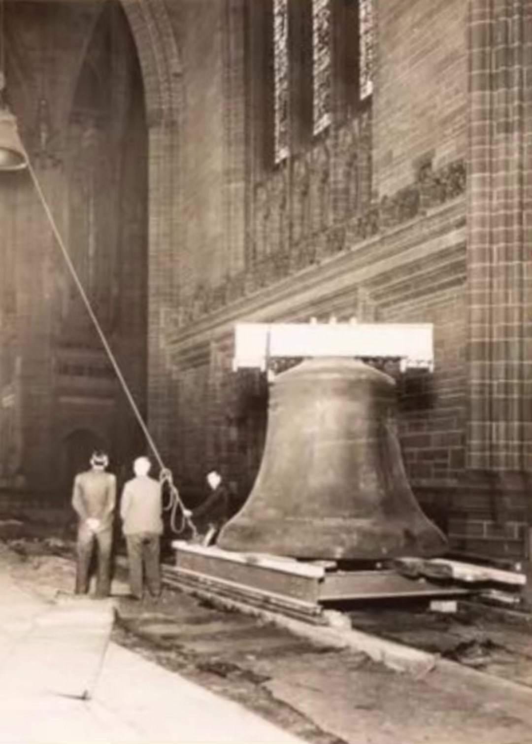 @Vinny Pereira Liverpool