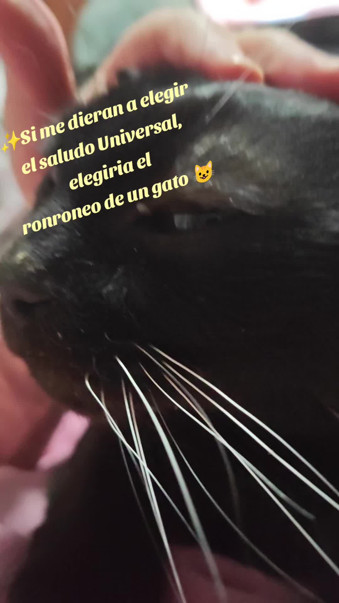 @Ayara_one