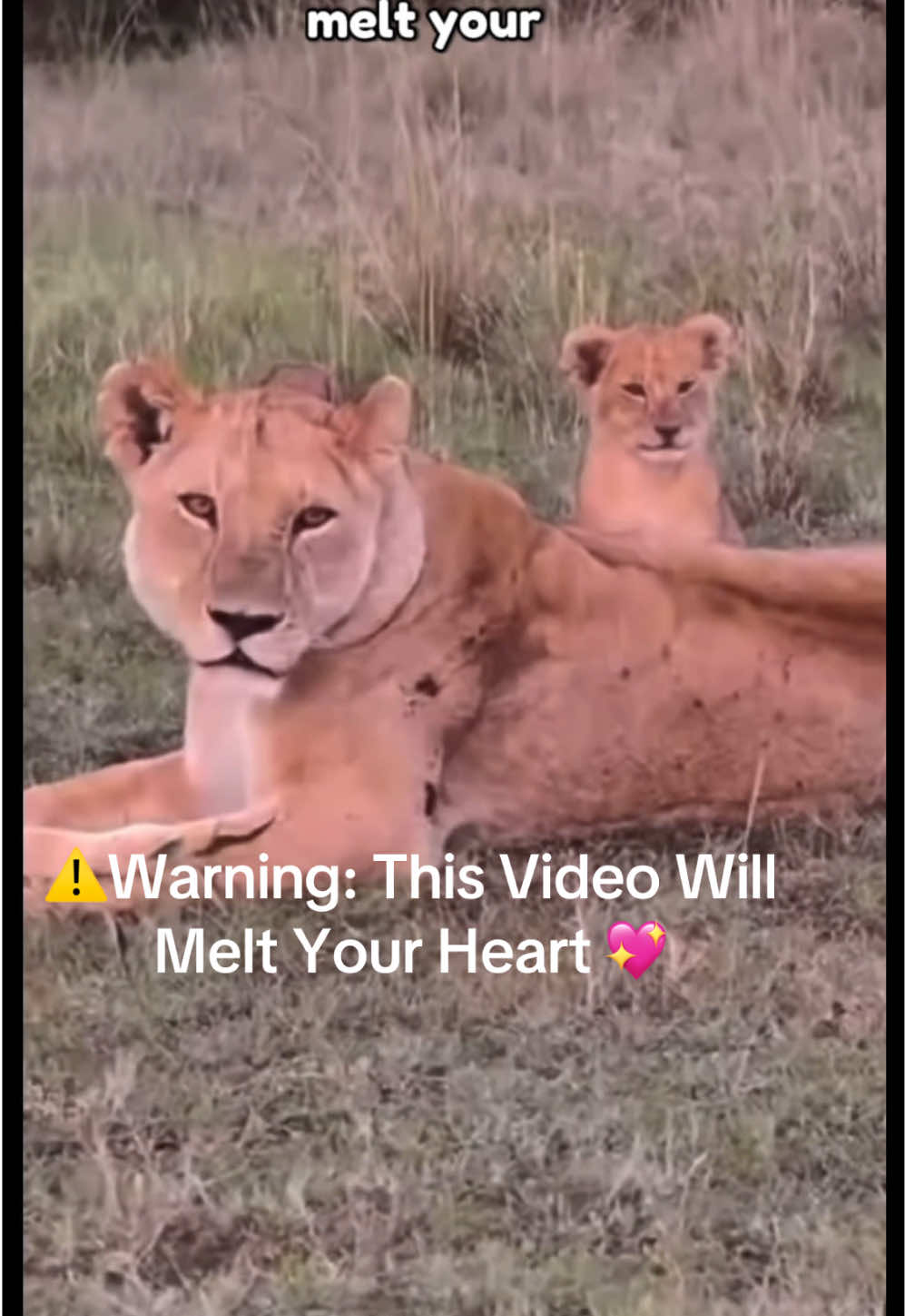 @KJ@LoveAnimalsEpicNature